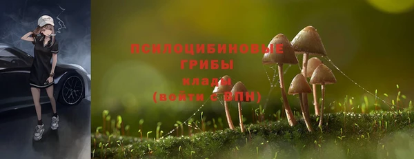 PSILOCYBIN Семёнов