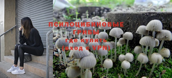 скорость Саяногорск