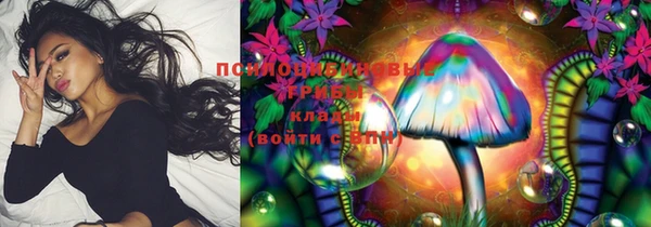 прущие грибы Сафоново